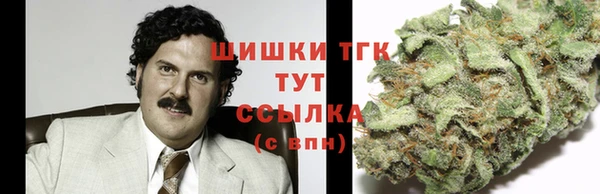 шишки Арсеньев
