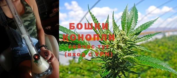 шишки Арсеньев