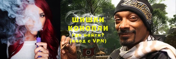 шишки Арсеньев
