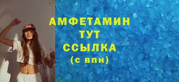 шишки Арсеньев
