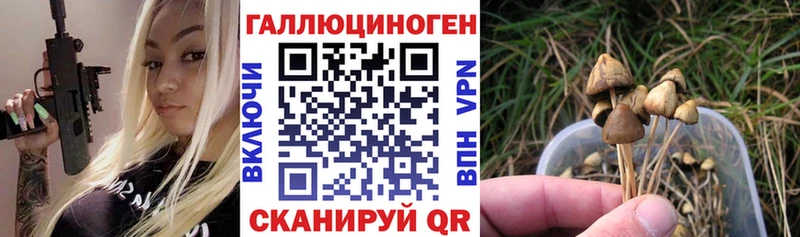 Псилоцибиновые грибы Cubensis  Серов 